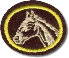 CRIACAO DE CAVALOS