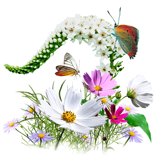 natureza