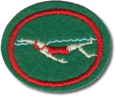 Natacao Intermedia