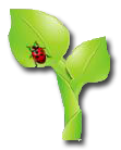 rebentos logo
