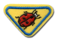 JOANINHAS