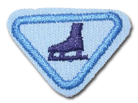PATINADOR